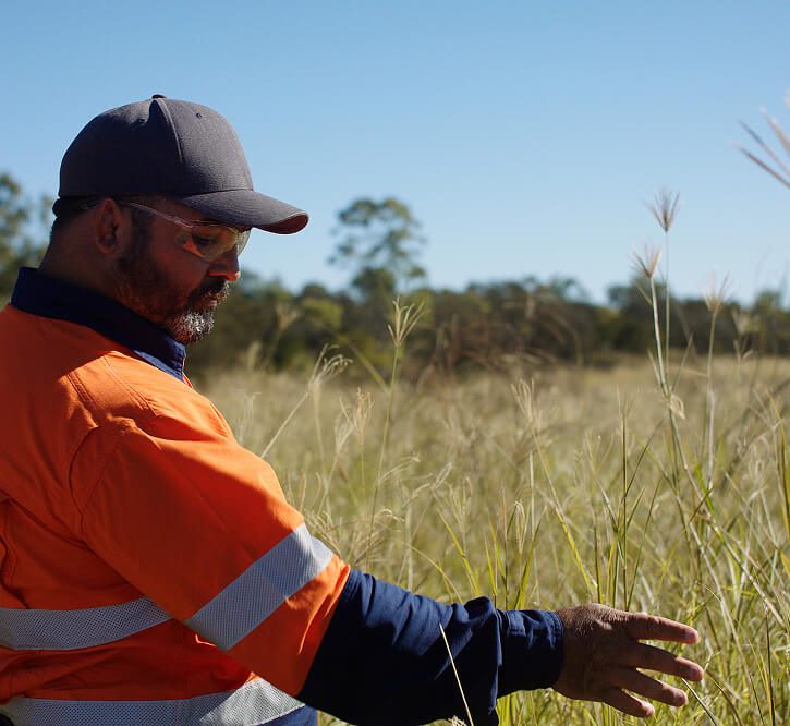 Worker in orange hi-vis inspecting long grass in a rehabilitation area.